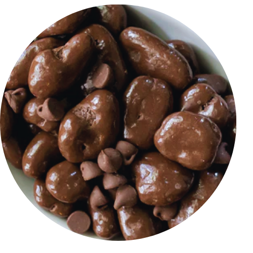 Milk Chocolate Covered Pecans