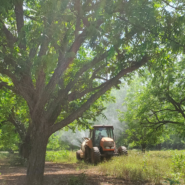 “So, what do you do the rest of the year?” - Royalty Pecan Farms