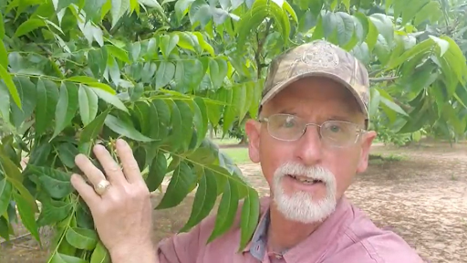Sustainable Farming and Pest Management