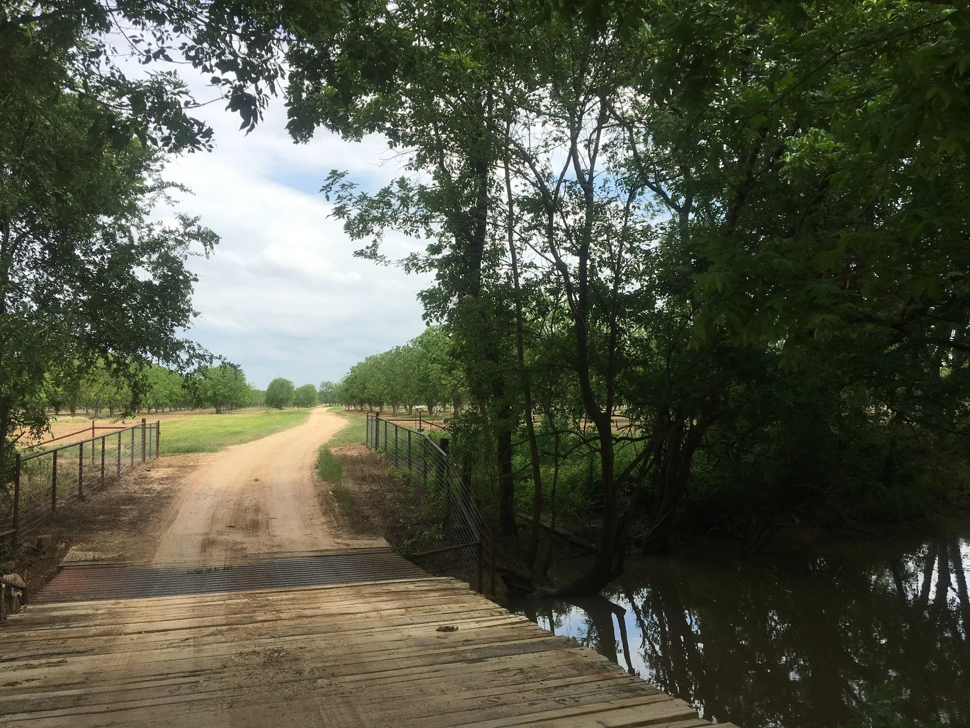 Orchard Tour with Andy - June 3, 2023 @12pm